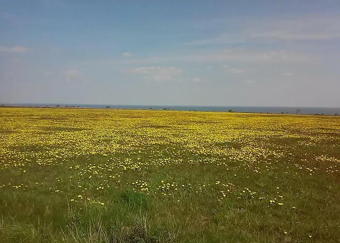 Seaside Апартаменты